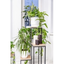 Tiered flower stand Model:662